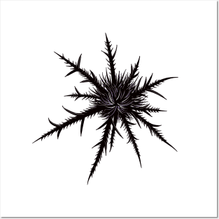 Dry Thistle With Sharp Thorns Gothic Botanical Art Posters and Art